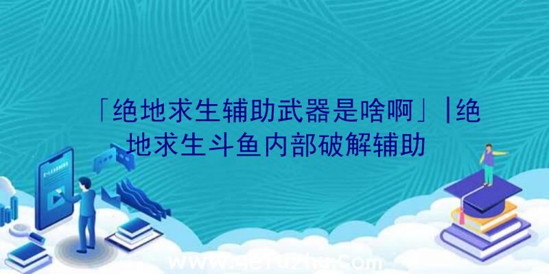 「绝地求生辅助武器是啥啊」|绝地求生斗鱼内部破解辅助